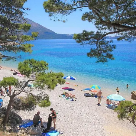 Luxury Andrea With Private Pool & Jet Pool Near Dubrovnik Country house *